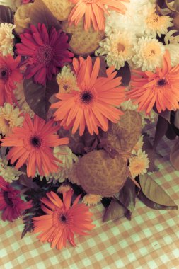 Gerbera Vintage güzellik yaz.