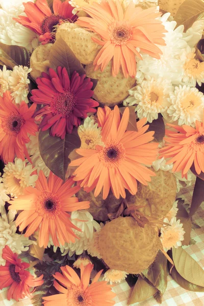 Gerbera Vintage güzellik yaz.