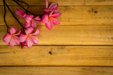 Red frangipani placed on a wooden floor.