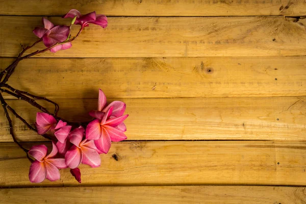 Red frangipani placed on a wooden floor. — Zdjęcie stockowe
