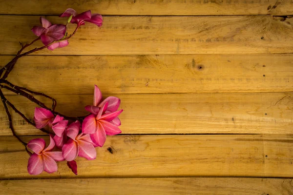 Red frangipani placed on a wooden floor. — Zdjęcie stockowe