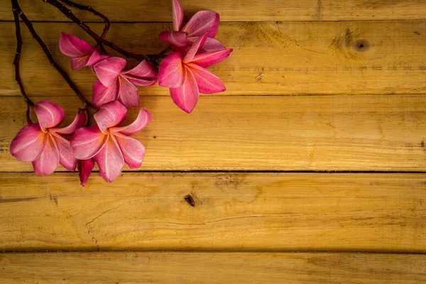 Red frangipani placed on a wooden floor. — Zdjęcie stockowe