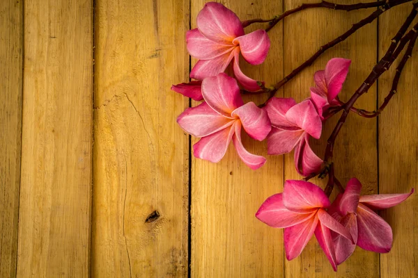 Red frangipani placed on a wooden floor. — Zdjęcie stockowe