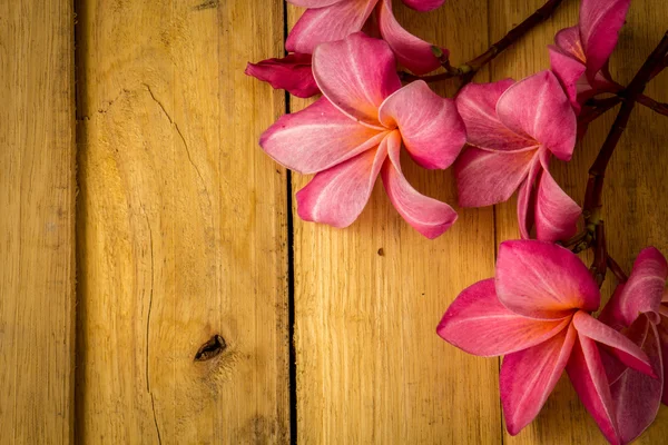 Frangipani rouge posé sur un plancher de bois . — Photo