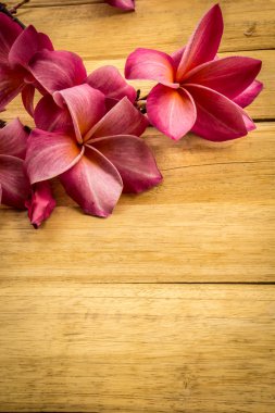 Red frangipani placed on a wooden floor.