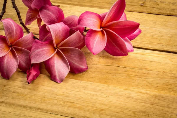 Red frangipani placed on a wooden floor. — Zdjęcie stockowe