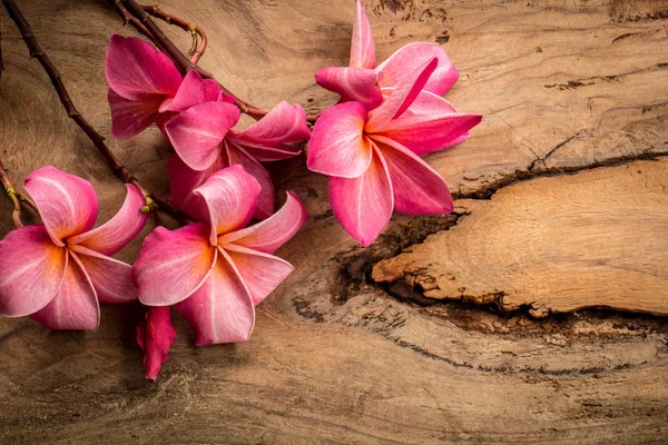 Red frangipani placed on a wooden floor. — Zdjęcie stockowe