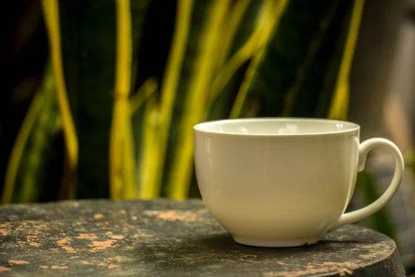 Taza de café —  Fotos de Stock