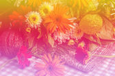 Картина, постер, плакат, фотообои "the beauty of colorful gerbera flowers in summer pool lightingi ", артикул 81140532