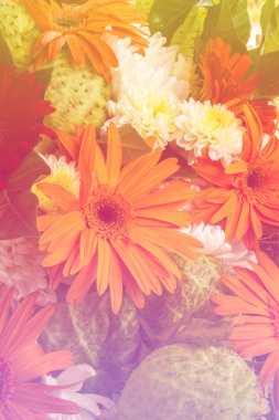 Yaz havuzu lightingi renkli gerbera çiçekleri güzelliği 