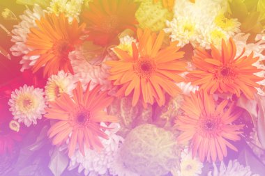 Yaz havuzu lightingi renkli gerbera çiçekleri güzelliği 