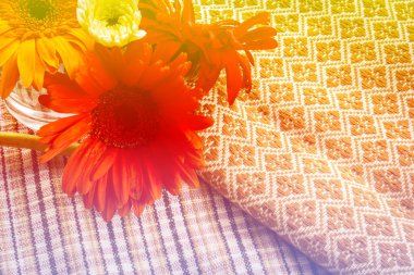 Yaz havuzu lightingi renkli gerbera çiçekleri güzelliği 