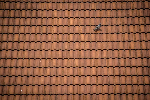 Textura de tejas rojas | textura de tejas rojas — Foto de stock