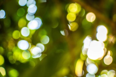 Doğal Bokeh, bulanık bokeh.