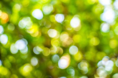 Doğal Bokeh, bulanık bokeh.