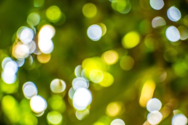 Doğal Bokeh, bulanık bokeh.