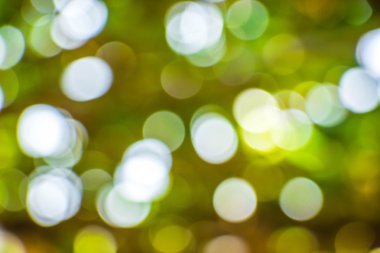 Doğal Bokeh, bulanık bokeh.