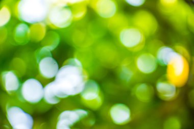 Doğal Bokeh, bulanık bokeh.