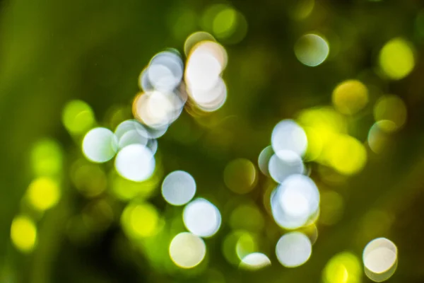 Naturalny Bokeh, rozmyty bokeh. — Zdjęcie stockowe