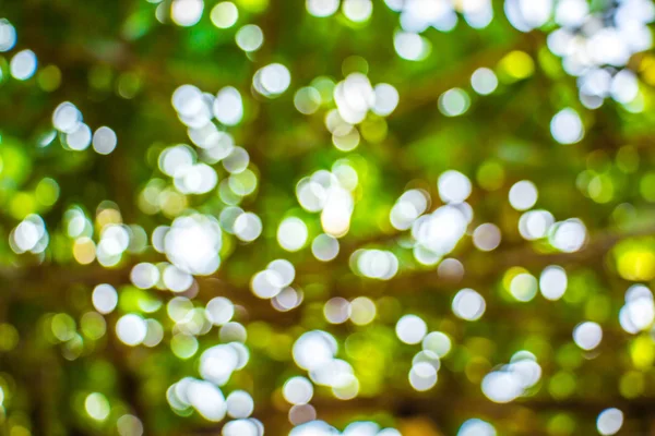 Natürliches Bokeh, verschwommenes Bokeh. — Stockfoto