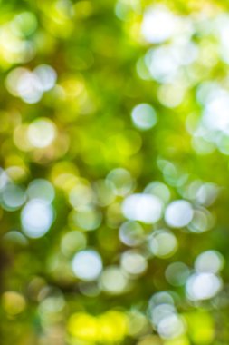 Doğal Bokeh, bulanık bokeh.