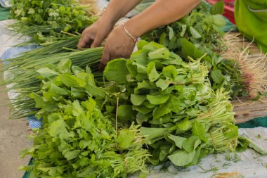 Organik Sebzeler rafta