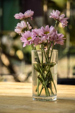 Ahşap bir masaya soluk Pembe çiçek