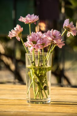 Ahşap bir masaya soluk Pembe çiçek