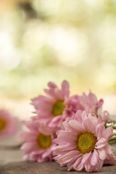 Fleurs rose pâle sur une table en bois — Photo