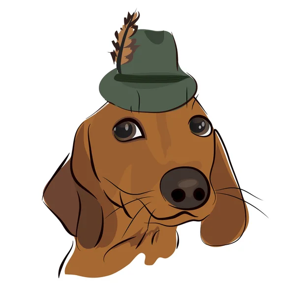 Anjing Dachshund yang lucu dengan topi - Stok Vektor