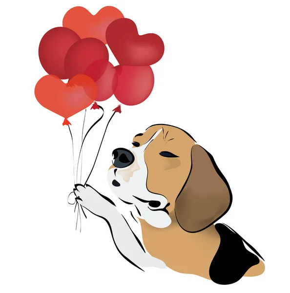 Beagle hund med ballonger — Stock vektor