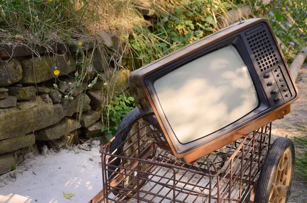 Retro TV on a Meadow — Stock Photo, Image