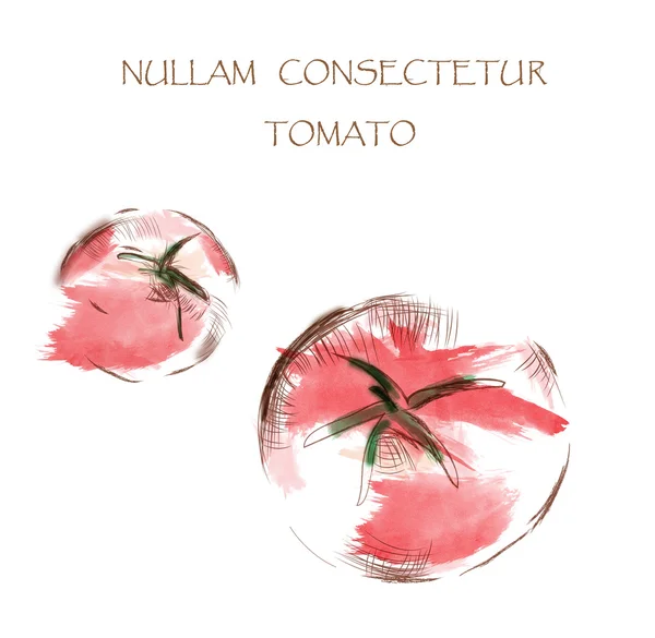 Illustration aquarelle tomate — Photo