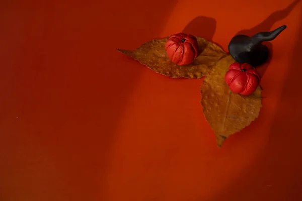 Citrouilles Plastique Chapeau Magique Une Sorcière Sur Les Feuilles Automne — Photo