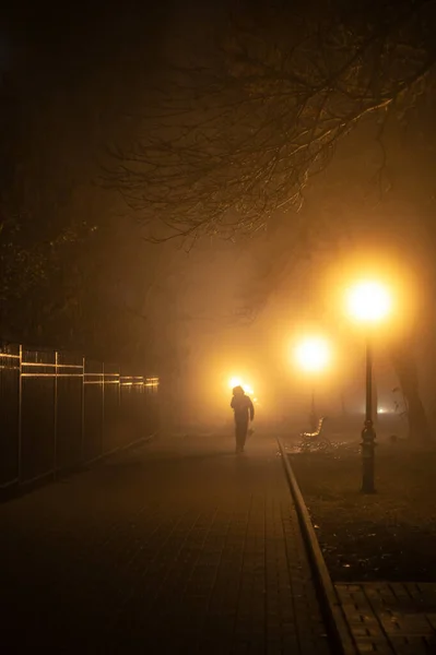 Városi Éjszakai Táj Ősszel Lámpák Sötét Ágak Fák Padok Emberek — Stock Fotó