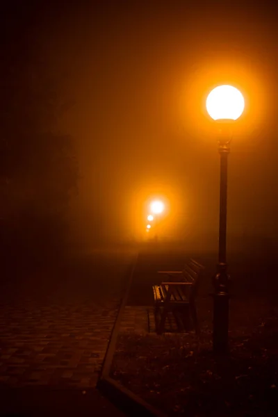 Urban night landscape: in the autumn fog lights of lanterns, dark branches, trees, benches, silhouettes of people... Yellow foggy landscape on the alley