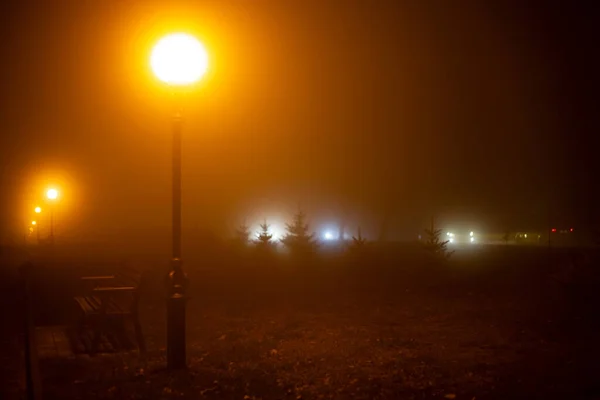 Paisaje Nocturno Urbano Niebla Otoñal Luces Faroles Ramas Oscuras Árboles —  Fotos de Stock