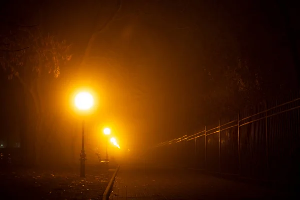 Paisaje Nocturno Urbano Niebla Otoñal Luces Faroles Ramas Oscuras Árboles —  Fotos de Stock