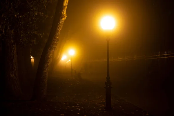 Paisaje Nocturno Urbano Niebla Otoñal Luces Faroles Ramas Oscuras Árboles —  Fotos de Stock