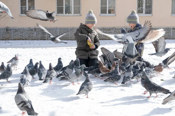 Zwei Jungen Füttern Die Vögel Winter Draußen Viele Tauben Schnee — Stockfoto