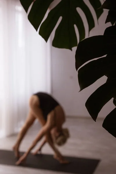 Flicka Gör Yoga Matta Gymmet Förgrunden Finns Stora Blad Monstera — Stockfoto