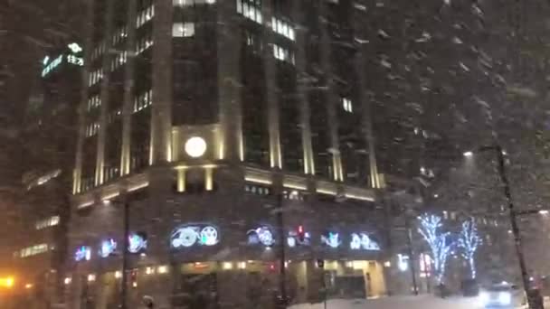 SAPPORO, HOKKAIDO, JAPÃO - FEVEREIRO 6, 2020: Belo dia de inverno em Hokkaido — Vídeo de Stock