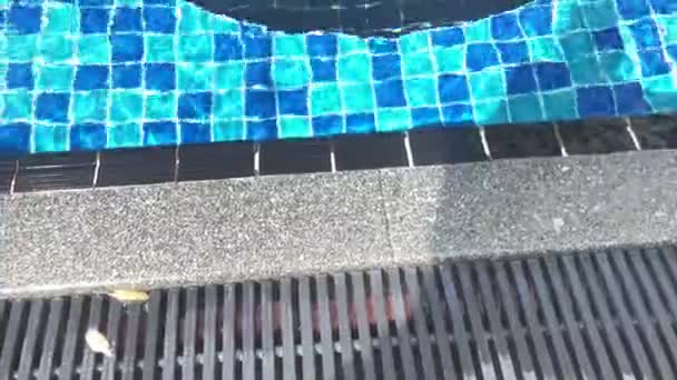 Плавальний басейн Переповнення Дренажна решітка, чиста блакитна вода в басейні. Решітка виготовляється з пластикового матеріалу, стійкого до тепла і удару, не ковзає, не брудна при використанні протягом тривалого часу . — стокове відео