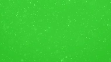 Yeşil Ekran Arkaplanına Gerçek Kar Düşüşü, Kış Kaplaması 4K