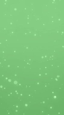 Dikey Kış Animasyonu Yeşil Ekran Videosu