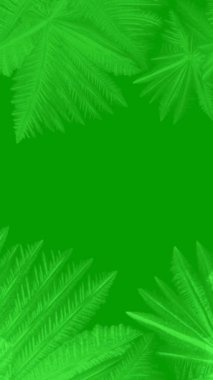 Yeşil Ekranda Dikey Donan Buz Kristali Büyüme Düzeni Dönüşümü