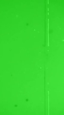 Yeşil Ekran Döngüsünde Dikey Eski Film Tanesi ve Toz Örtüsü