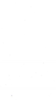 Renkli Aberasyonlu Dikey Beyaz Işık Geçişi