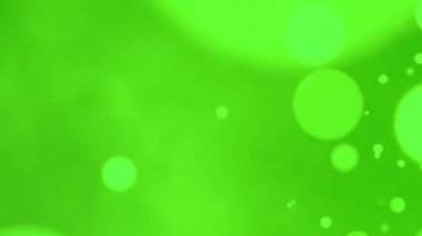 Profesyonel arka plan için çevre dostu yeşil doğa bokeh