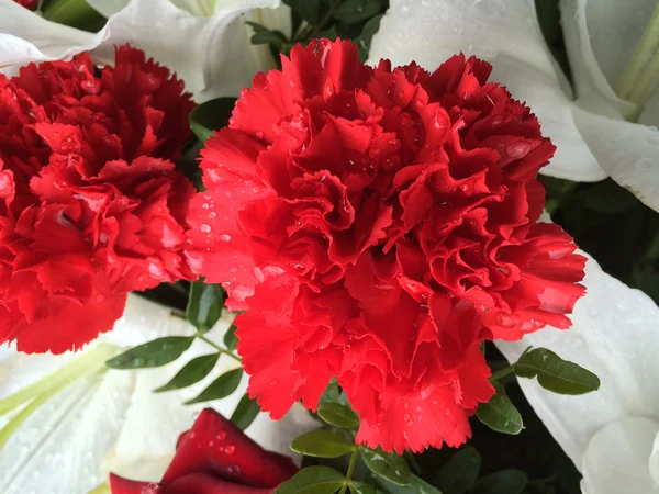 Güzel çiçek haraç